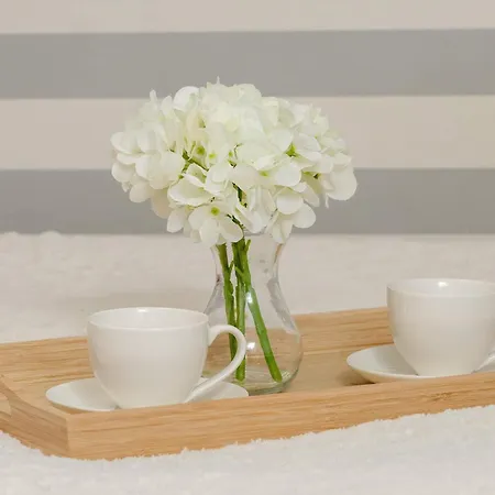 Przytulny & Jasny W Centrum Katowic By Renters * Katowice