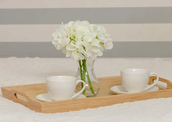 Przytulny & Jasny W Centrum Katowic By Renters * Katowice